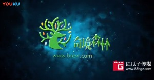 紅瓜子文化傳媒-奇鏡森林企業(yè)動(dòng)畫宣傳片